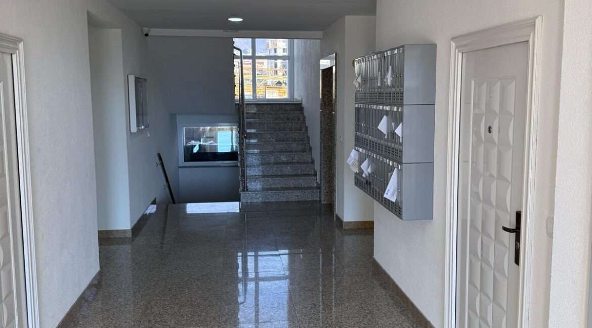 125e8b5b-8b20-4d2d-a5a1-05ba97509341